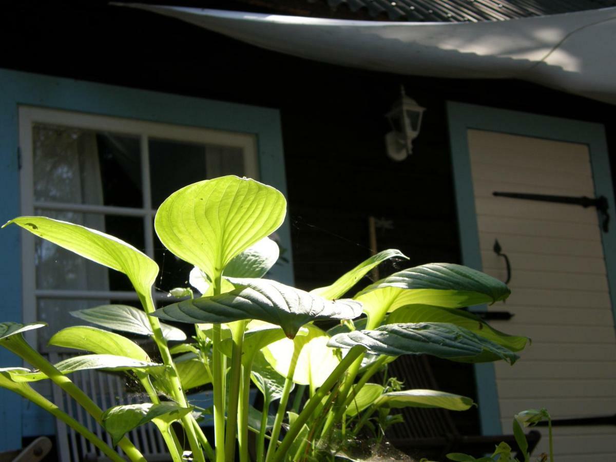 Ranna Villa Farm Kudema Exterior photo